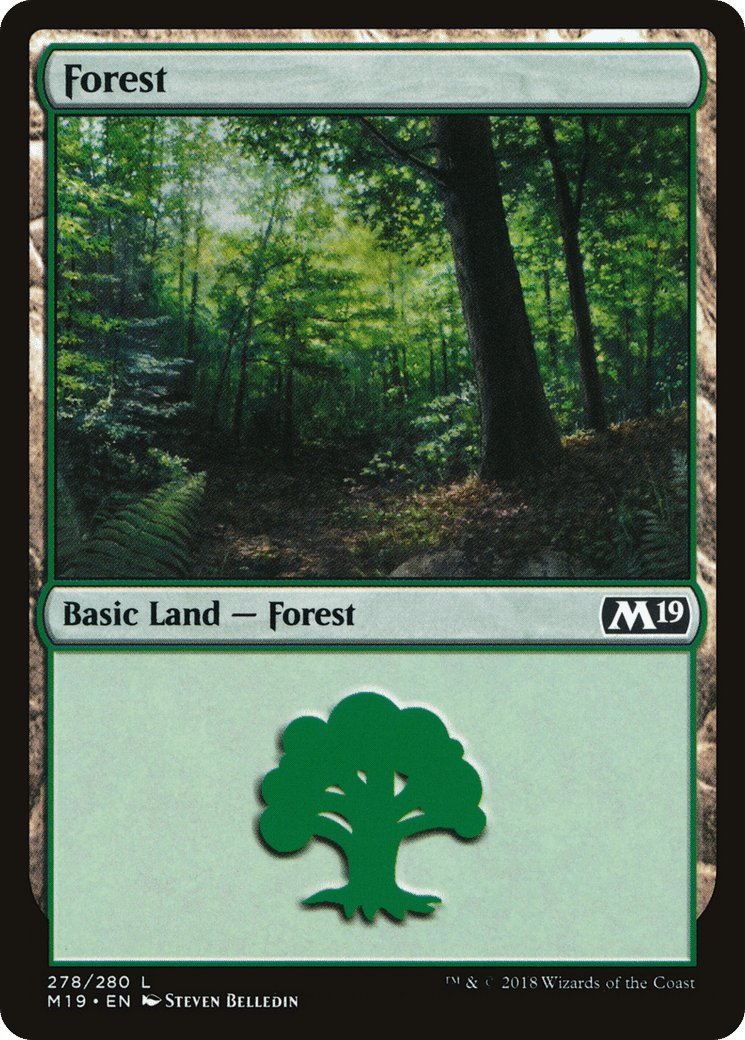 Forest — Core Set 2019 — Magic: The Gathering