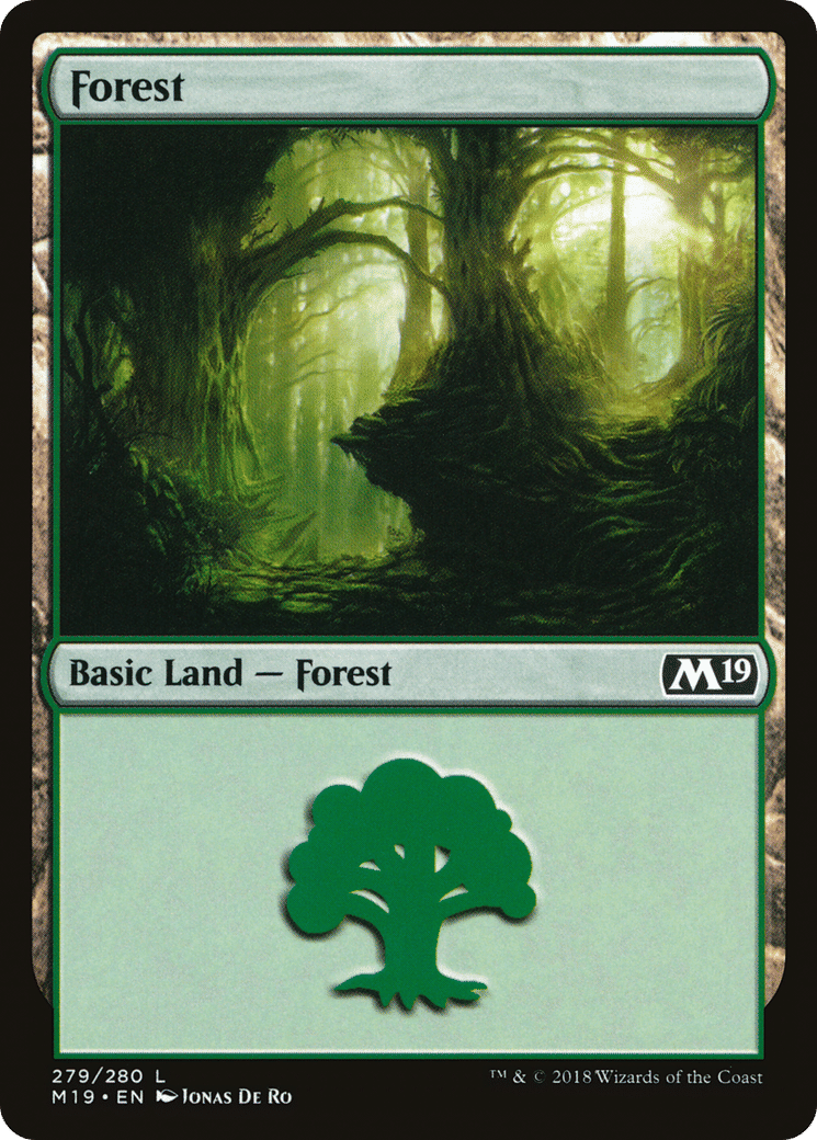 Forest — Core Set 2019 — Magic: The Gathering