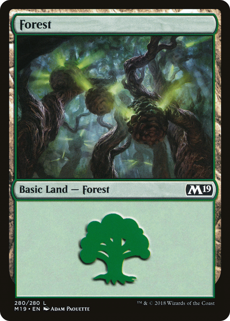 Forêt — Core Set 2019 — Magic: The Gathering