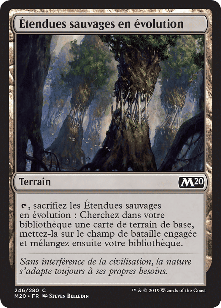 Étendues sauvages en évolution — Core Set 2020 — Magic: The Gathering