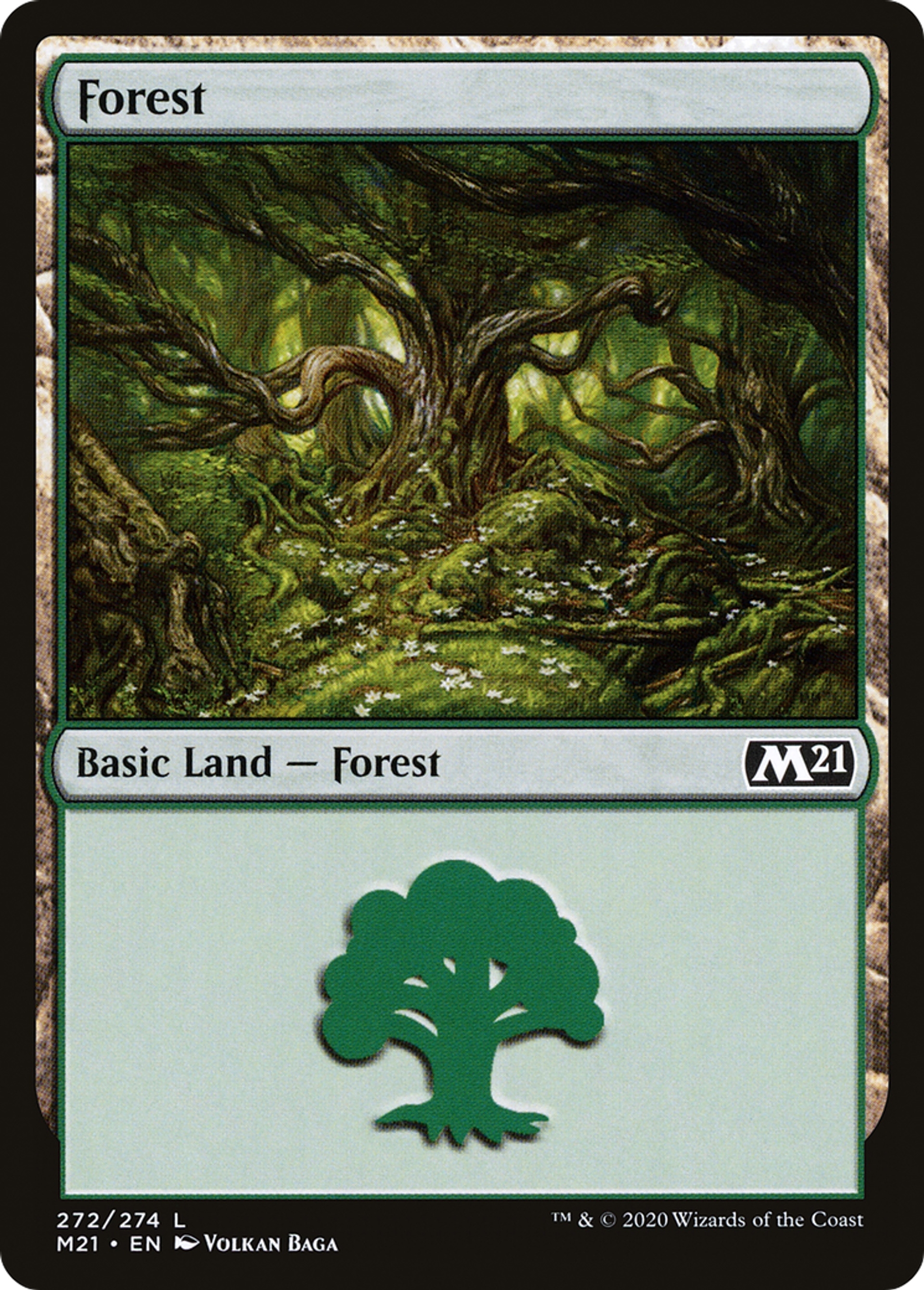 Forest — Core Set 2021 — Magic: The Gathering
