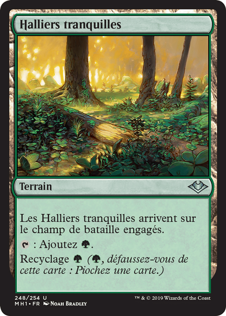 Halliers tranquilles — Modern Horizons — Magic: The Gathering