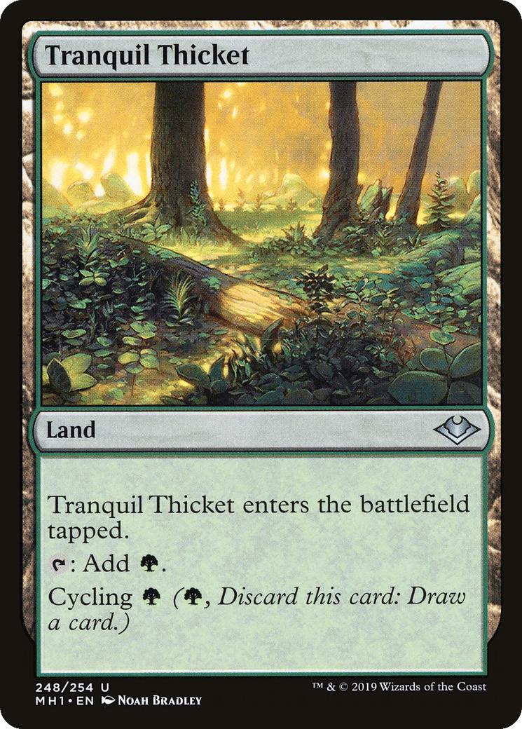 Tranquil Thicket — Modern Horizons — Magic: The Gathering