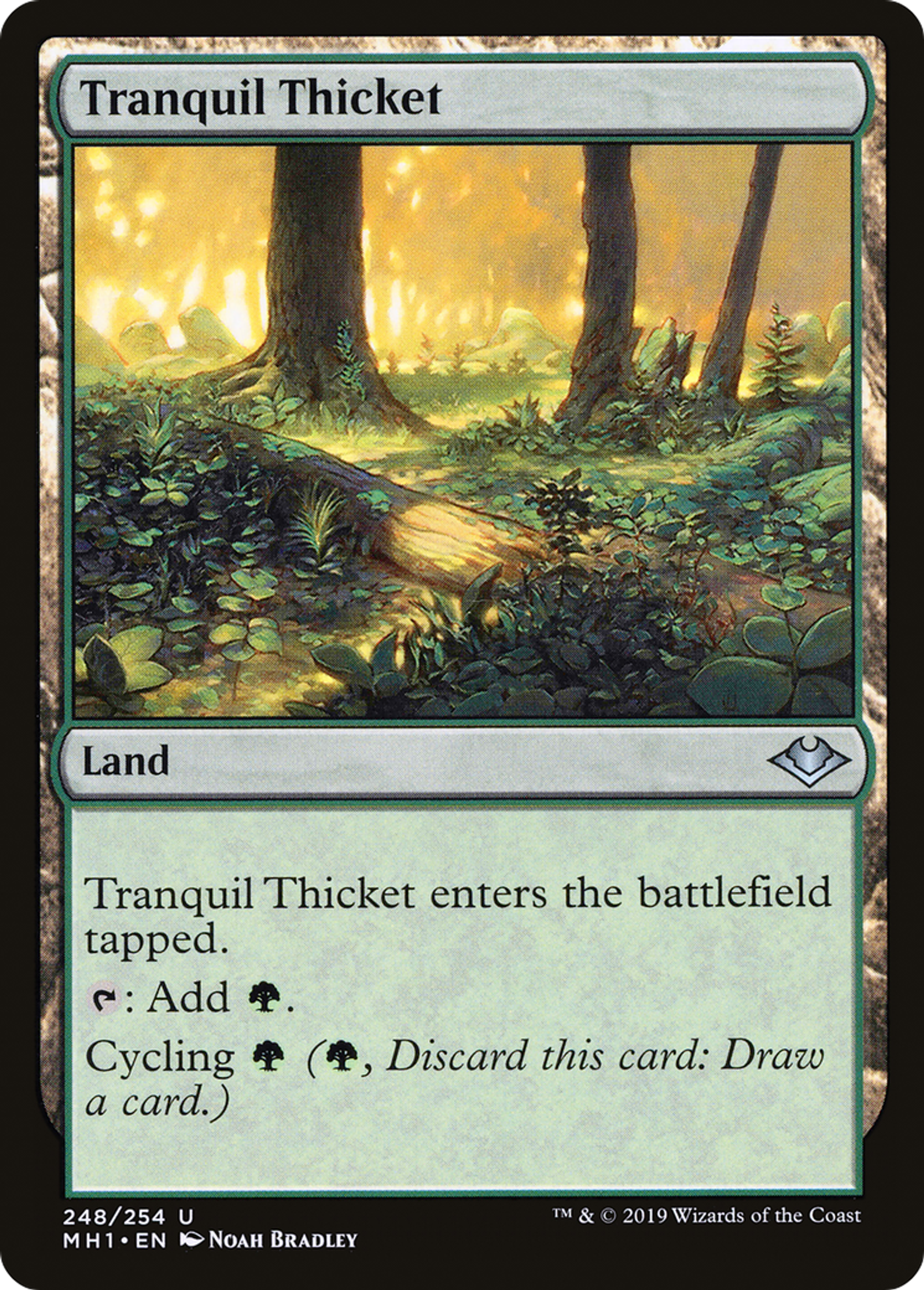 Tranquil Thicket — Modern Horizons — Magic: The Gathering