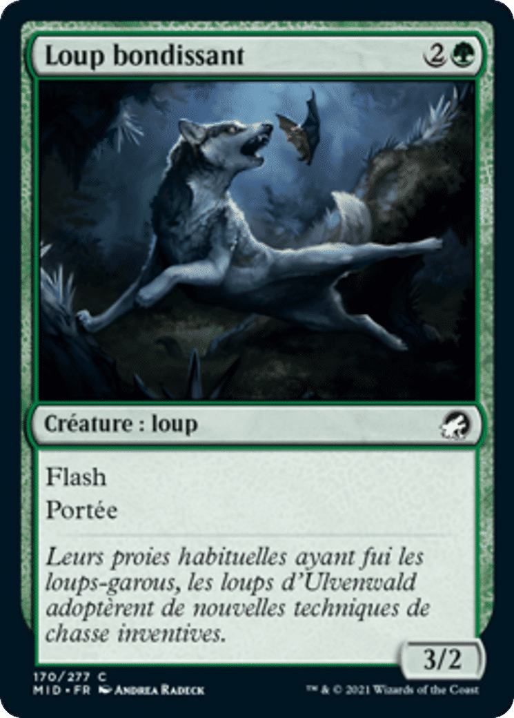 Loup bondissant — Innistrad: Midnight Hunt — Magic: The Gathering