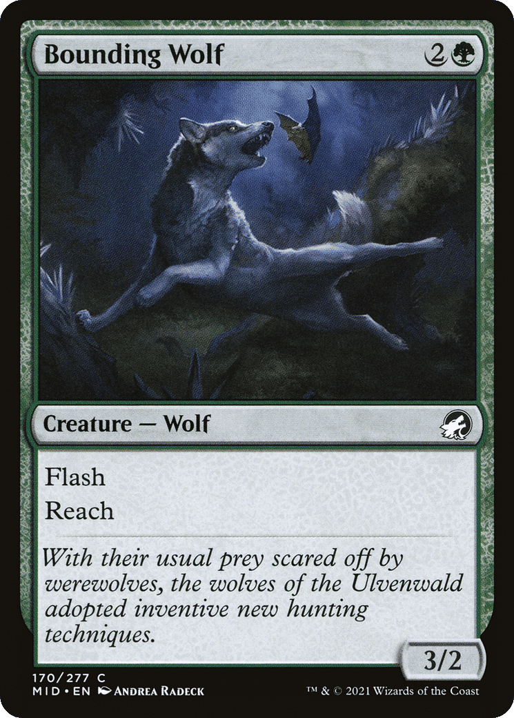 Bounding Wolf — Innistrad: Midnight Hunt — Magic: The Gathering