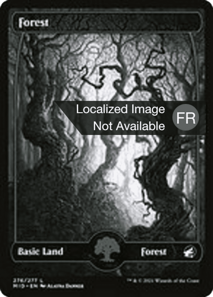 Forêt — Innistrad: Midnight Hunt — Magic: The Gathering
