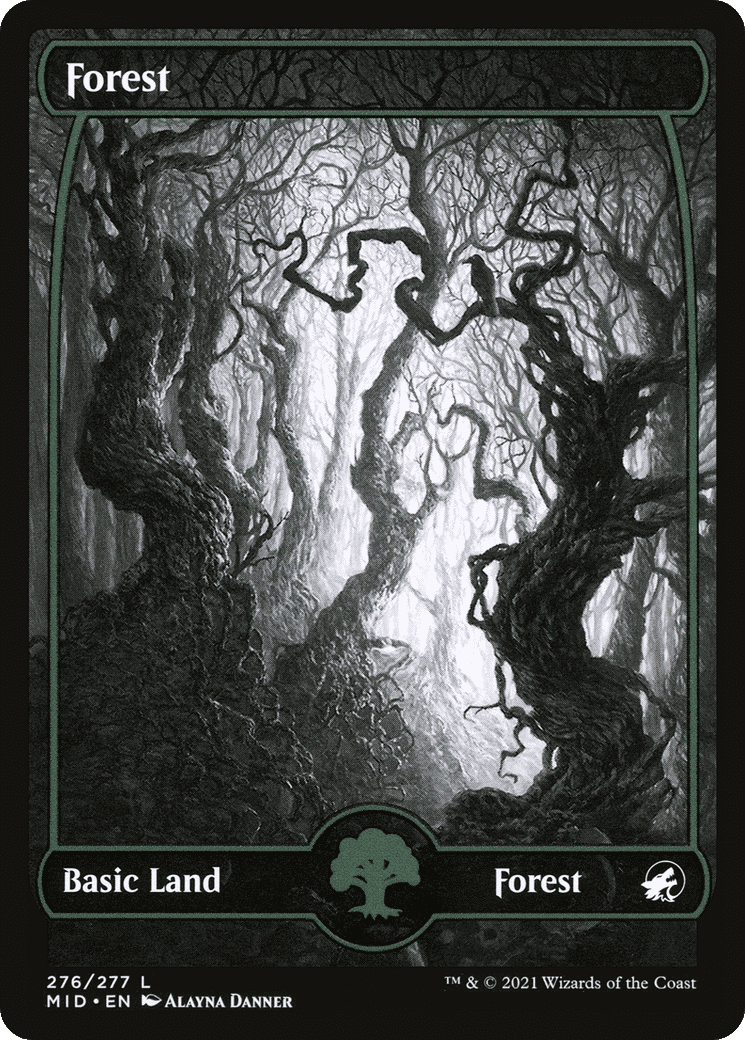 Forest — Innistrad: Midnight Hunt — Magic: The Gathering