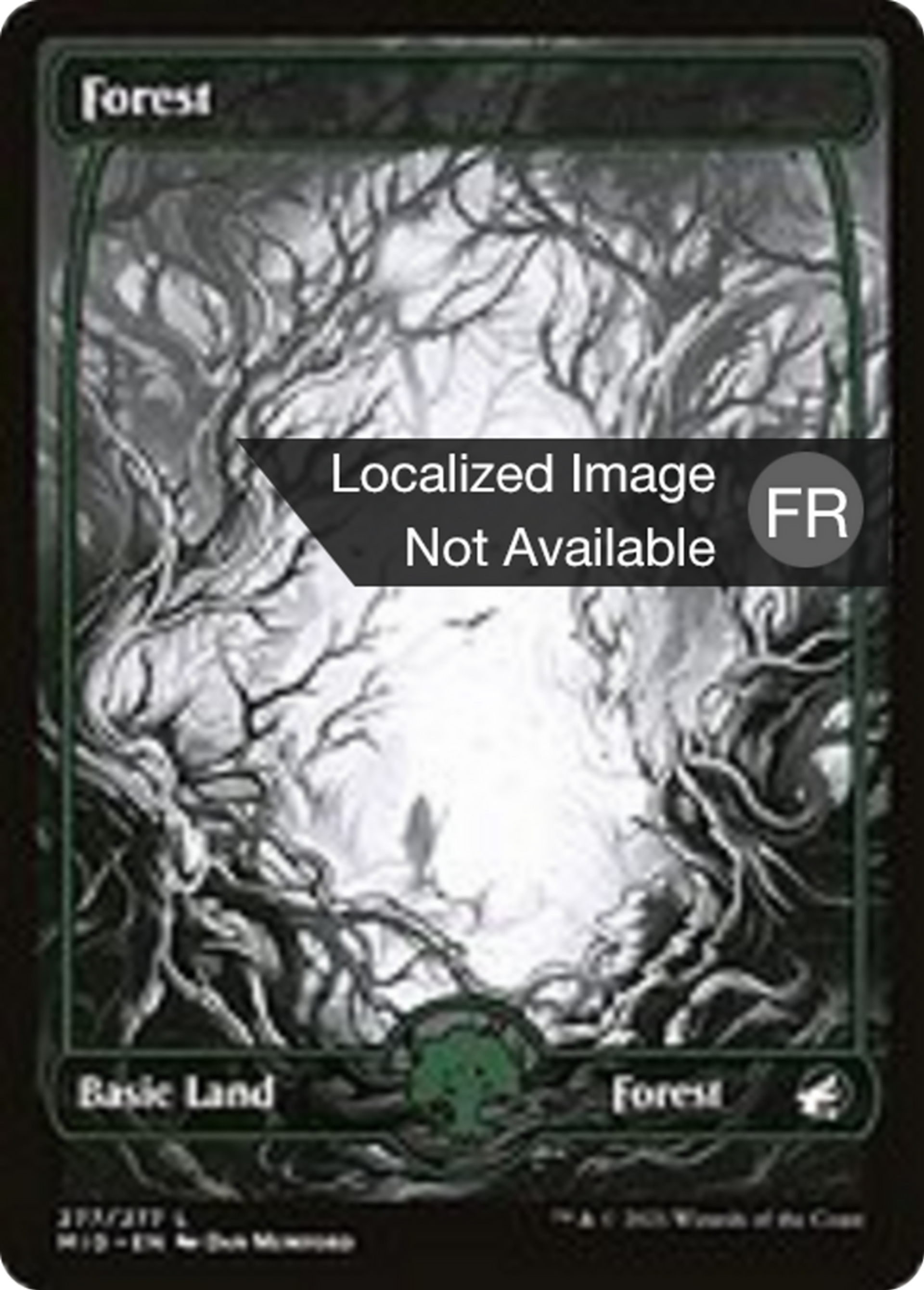 Forêt — Innistrad: Midnight Hunt — Magic: The Gathering