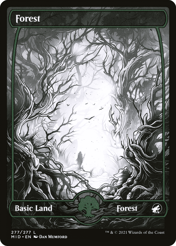 Forest — Innistrad: Midnight Hunt — Magic: The Gathering