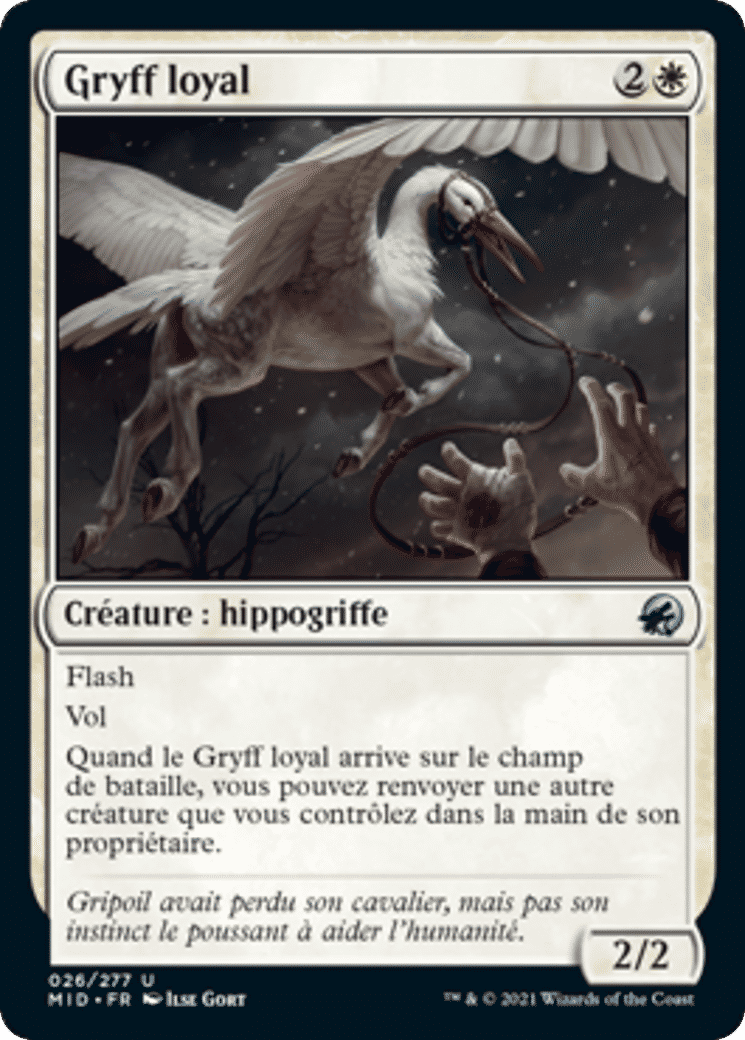 Gryff loyal — Innistrad: Midnight Hunt — Magic: The Gathering