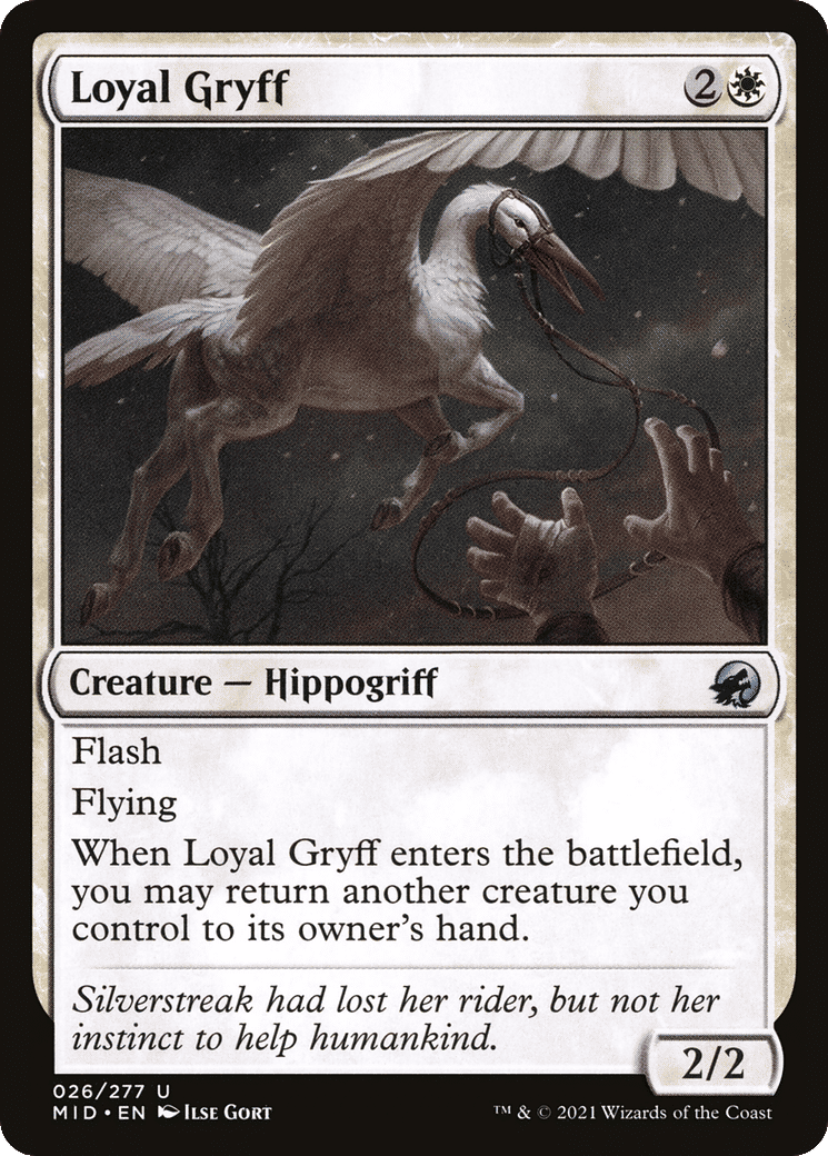 Loyal Gryff — Innistrad: Midnight Hunt — Magic: The Gathering