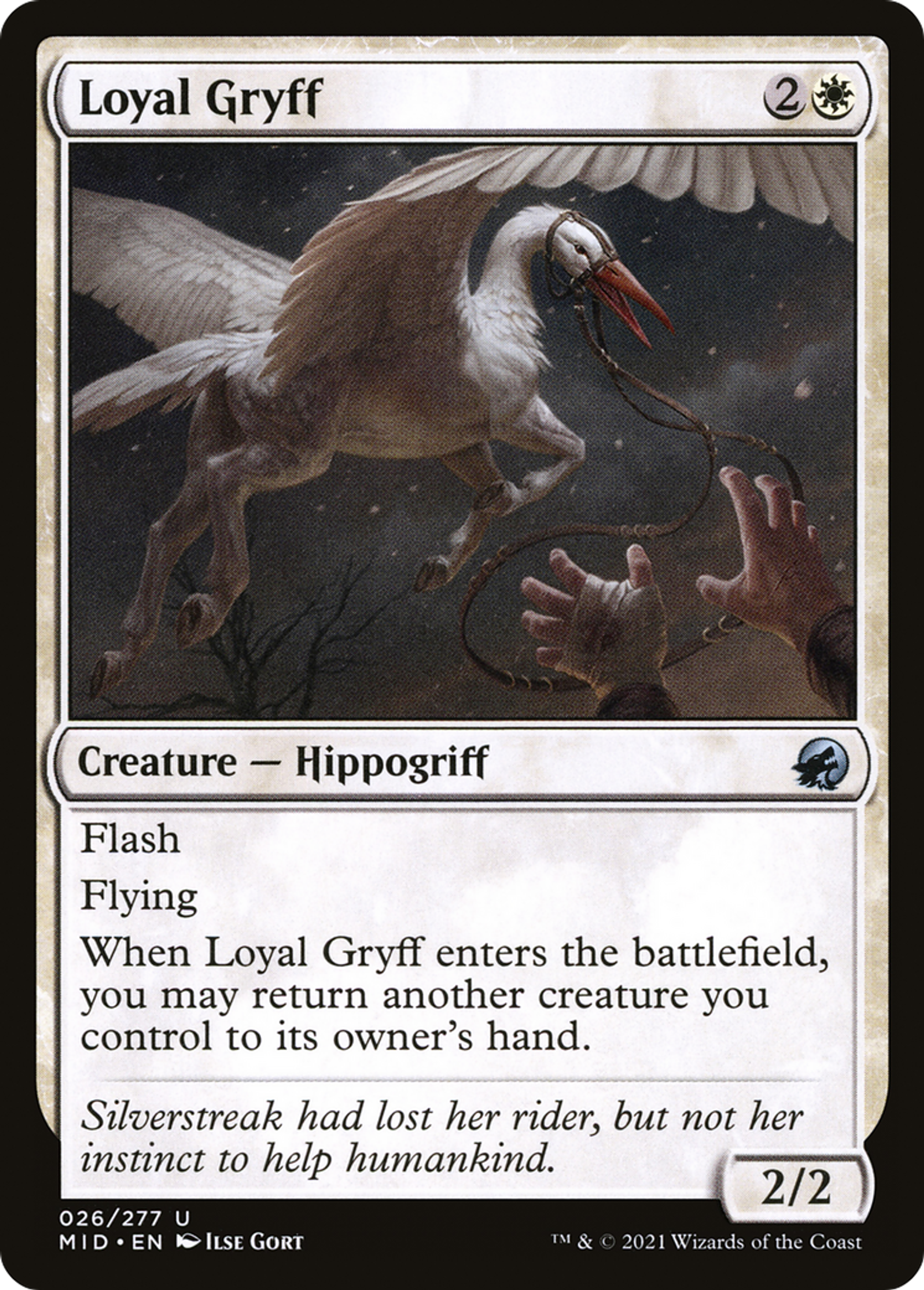 Gryff loyal — Innistrad: Midnight Hunt — Magic: The Gathering