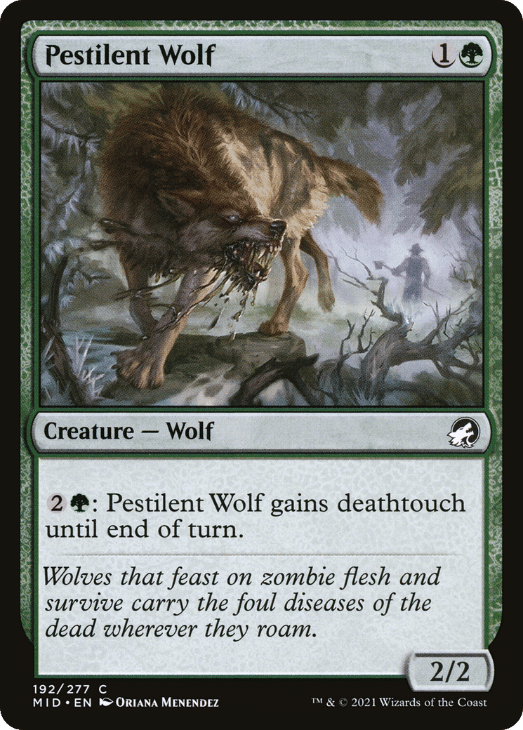 Pestilent Wolf — Innistrad: Midnight Hunt — Magic: The Gathering