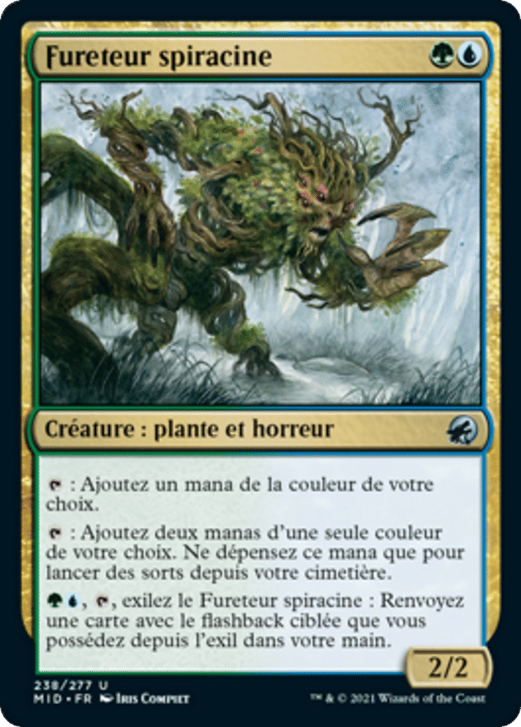 Fureteur spiracine — Innistrad: Midnight Hunt — Magic: The Gathering