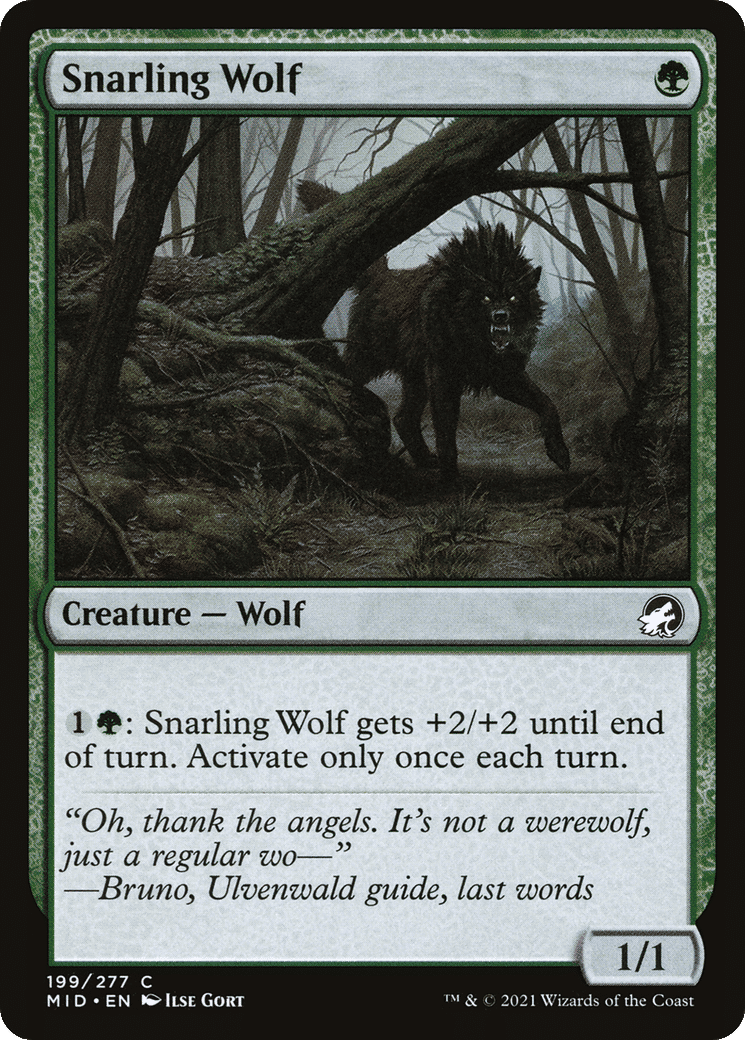 Snarling Wolf — Innistrad: Midnight Hunt — Magic: The Gathering