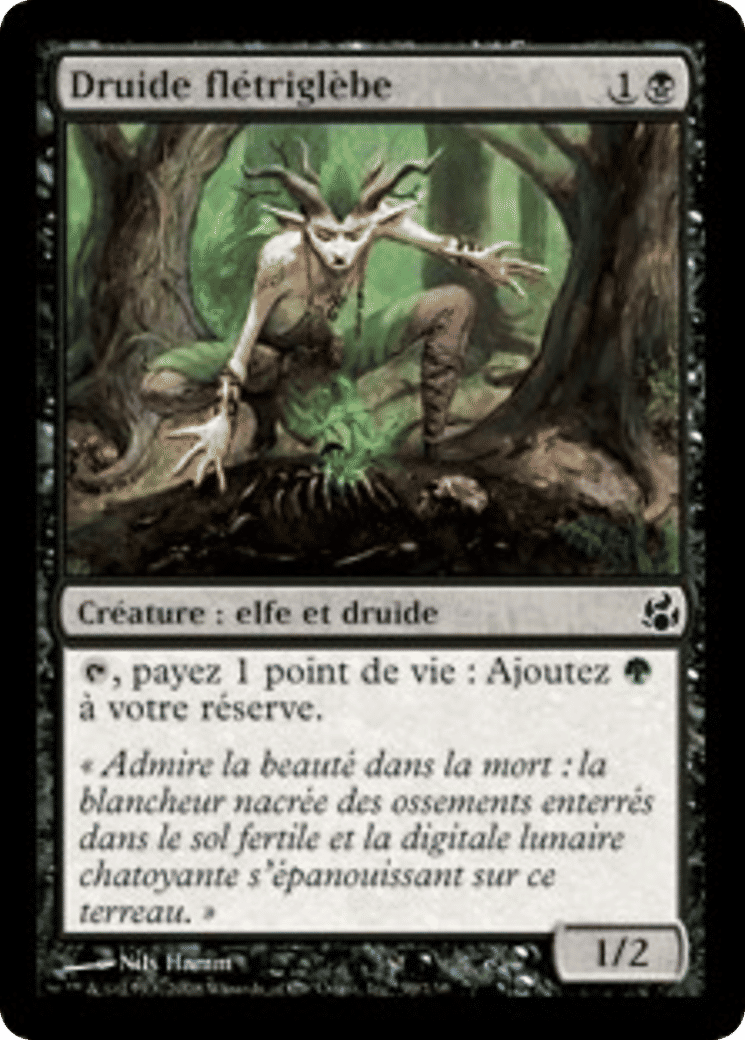 Druide flétriglèbe — Morningtide — Magic: The Gathering