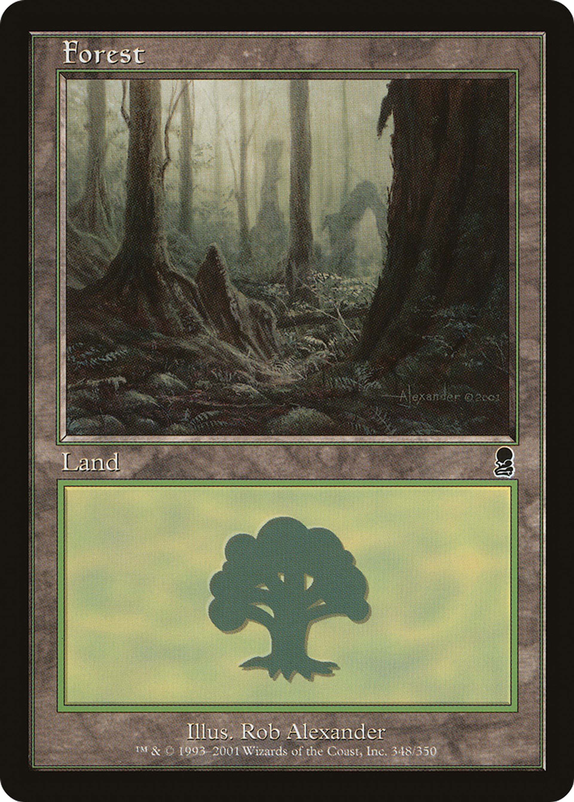 Forest — Odyssey — Magic: The Gathering