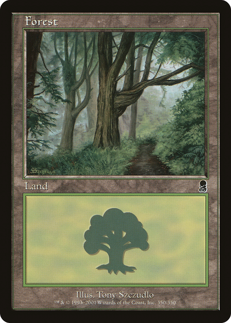 Forest — Odyssey — Magic: The Gathering