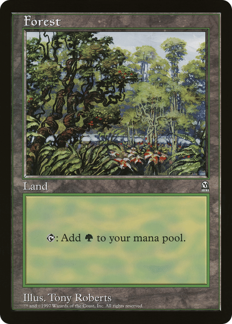 Forest — Oversized League Prizes — Magic: The Gathering
