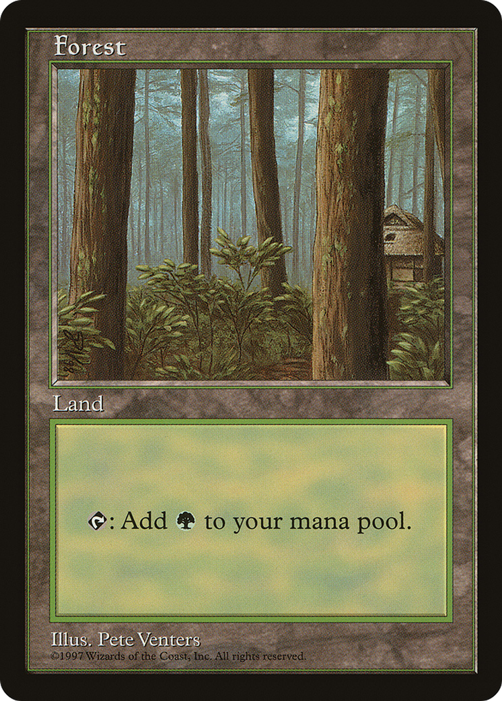 Forest — Asia Pacific Land Program — Magic: The Gathering
