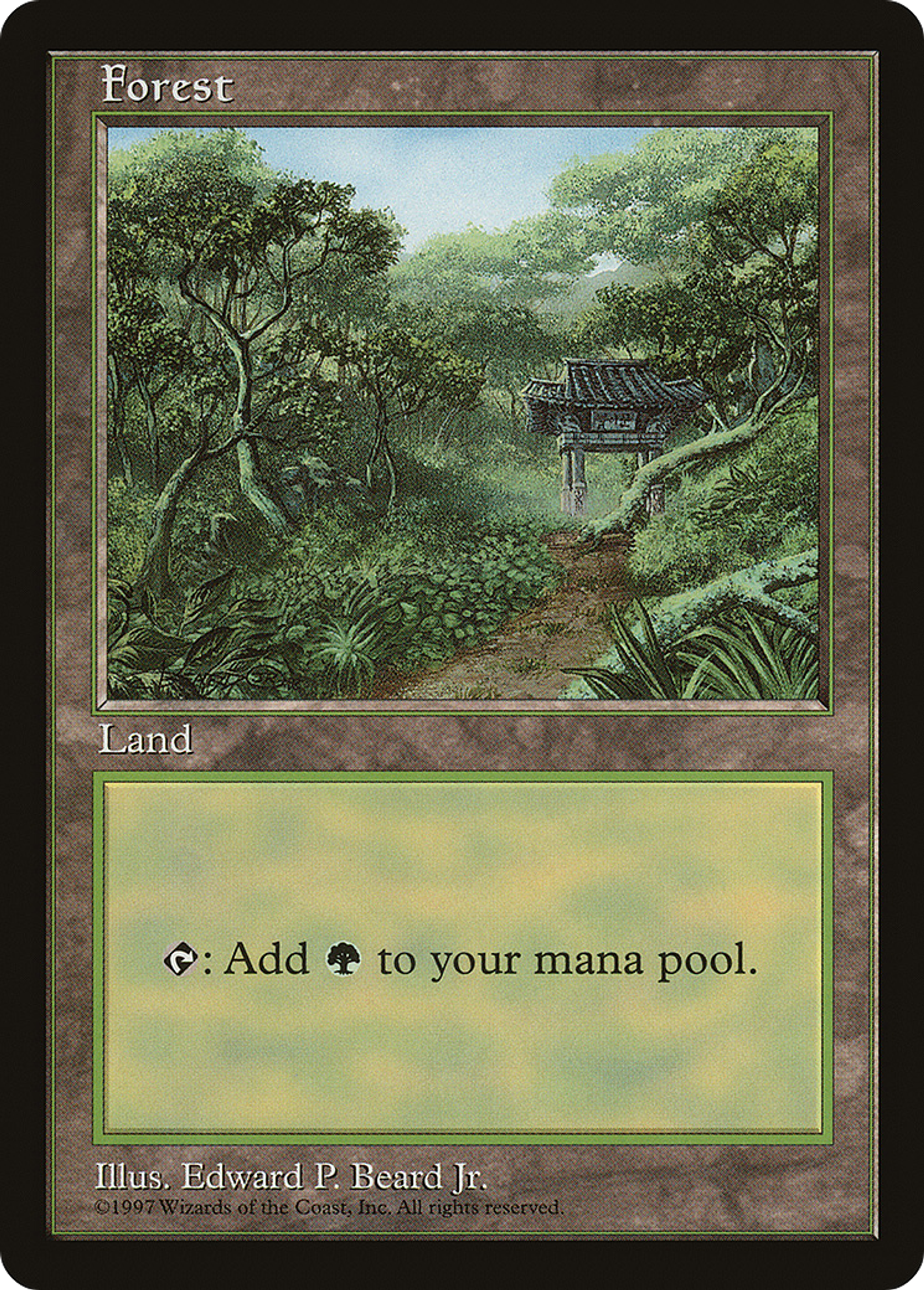 Forest — Asia Pacific Land Program — Magic: The Gathering