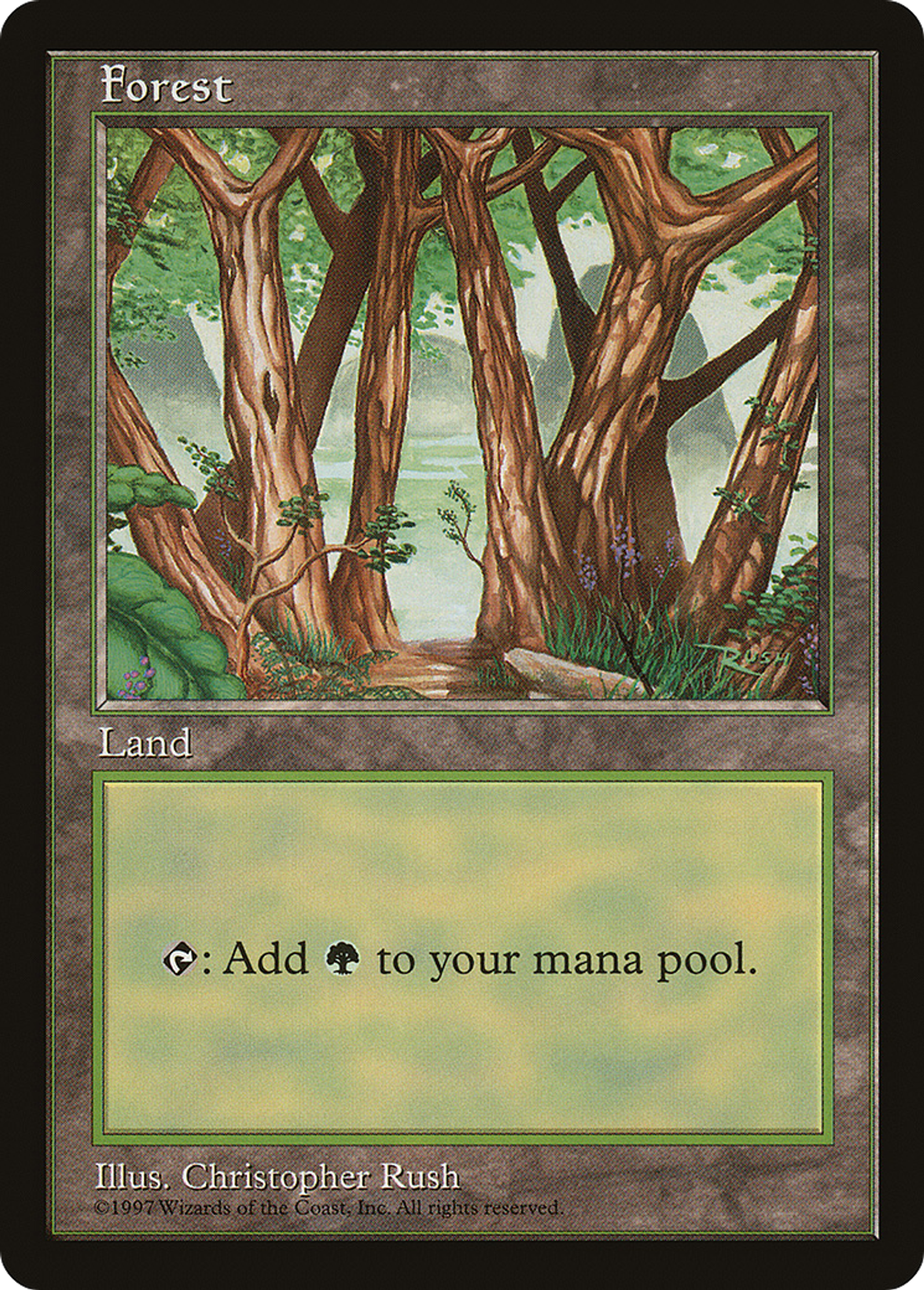 Forest — Asia Pacific Land Program — Magic: The Gathering