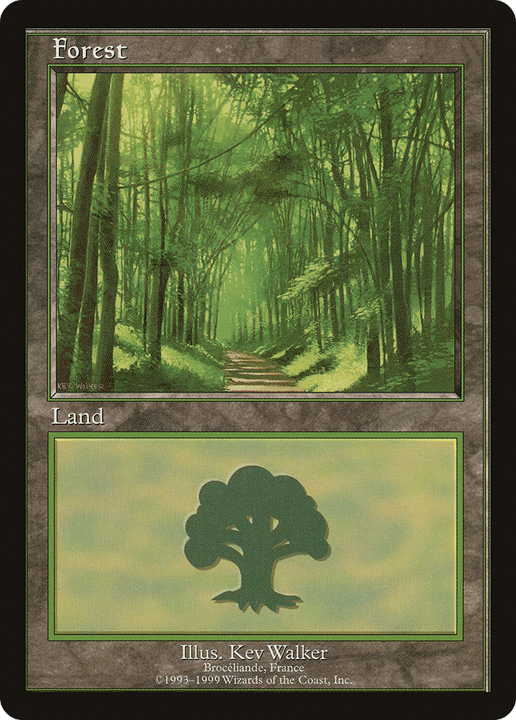 Forest — European Land Program — Magic: The Gathering