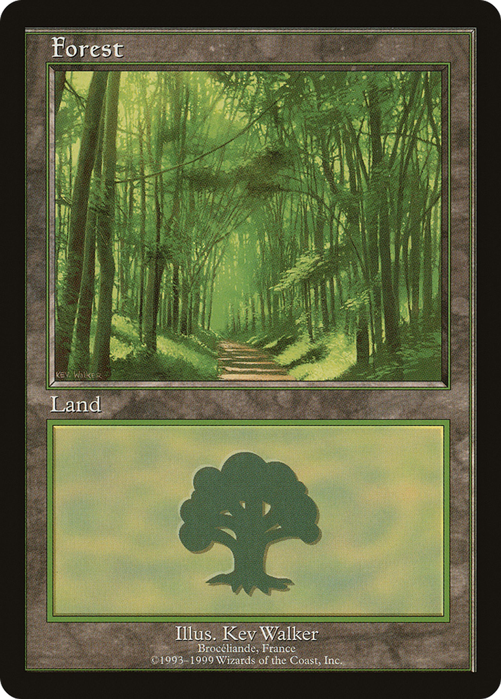 Forest — European Land Program — Magic: The Gathering