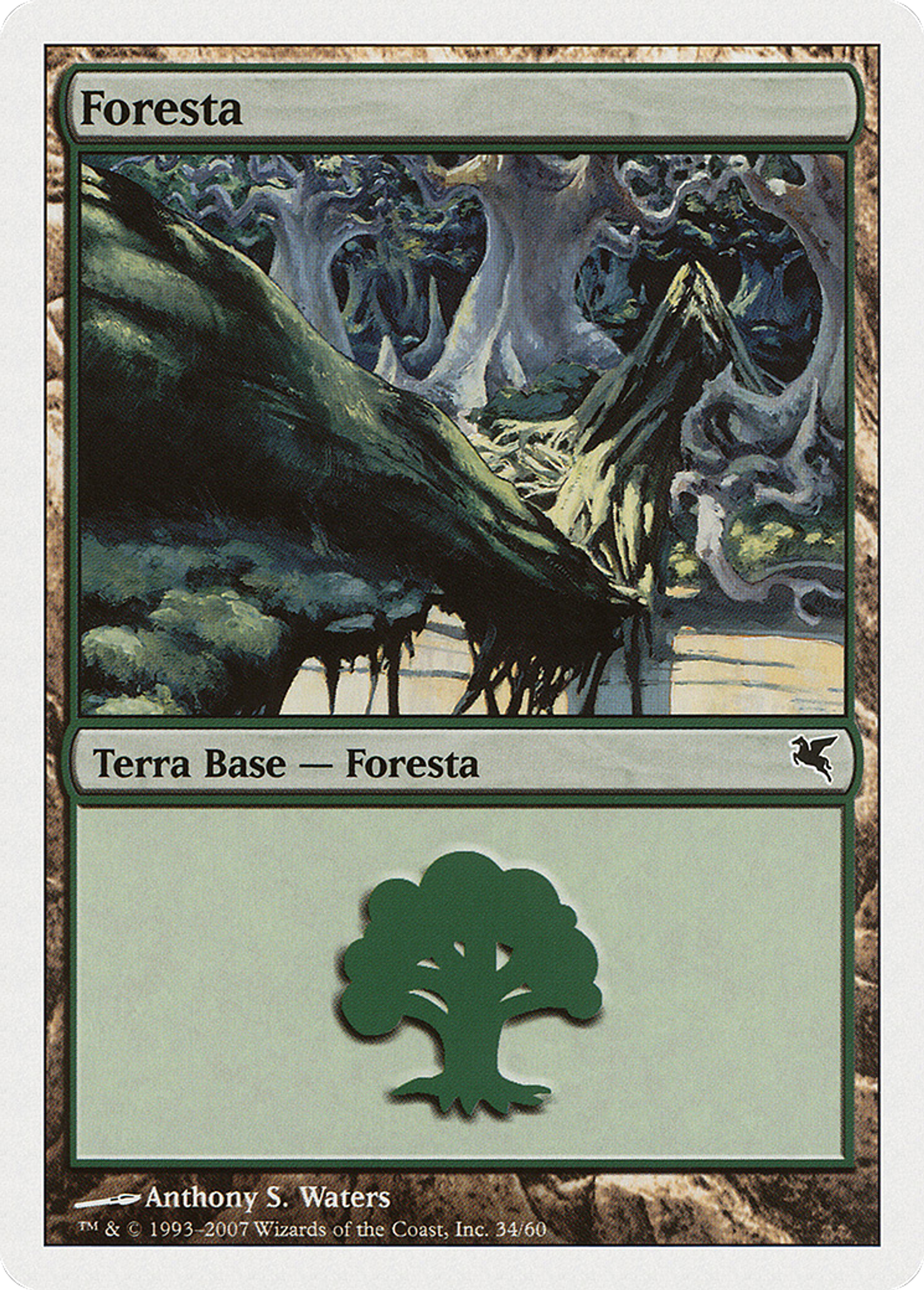Forêt — Salvat 2005 — Magic: The Gathering