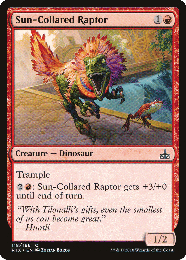 Sun-Collared Raptor — Rivals of Ixalan — Magic: The Gathering