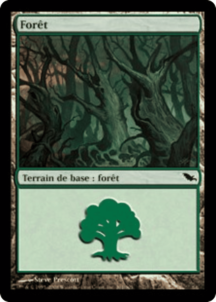 Forêt — Shadowmoor — Magic: The Gathering
