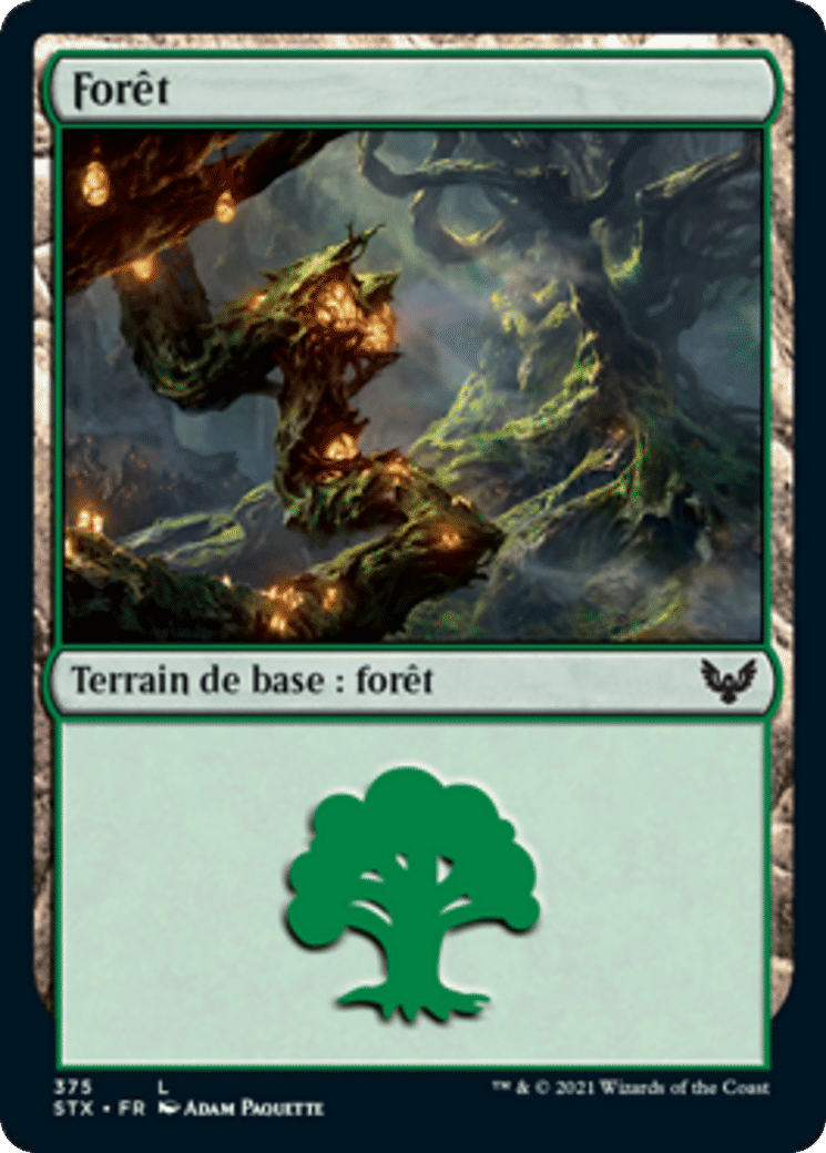 Forêt — Strixhaven: School of Mages — Magic: The Gathering