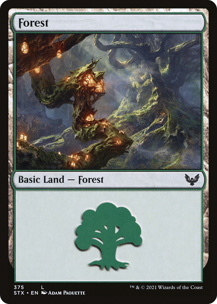 Forest — Strixhaven: School of Mages — Magic: The Gathering