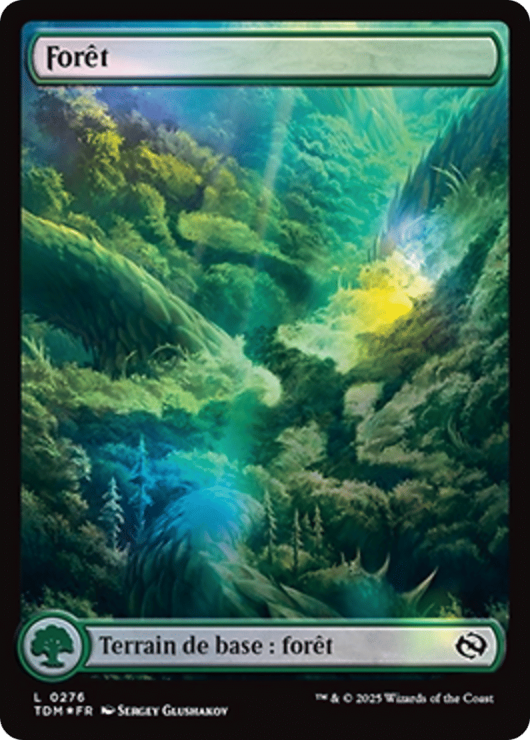 Forêt — Tarkir: Dragonstorm — Magic: The Gathering