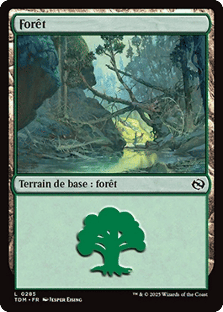 Forêt — Tarkir: Dragonstorm — Magic: The Gathering