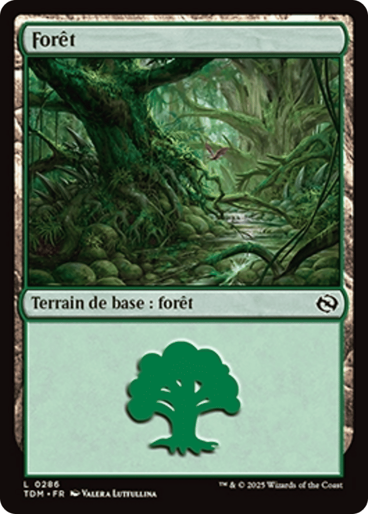 Forêt — Tarkir: Dragonstorm — Magic: The Gathering