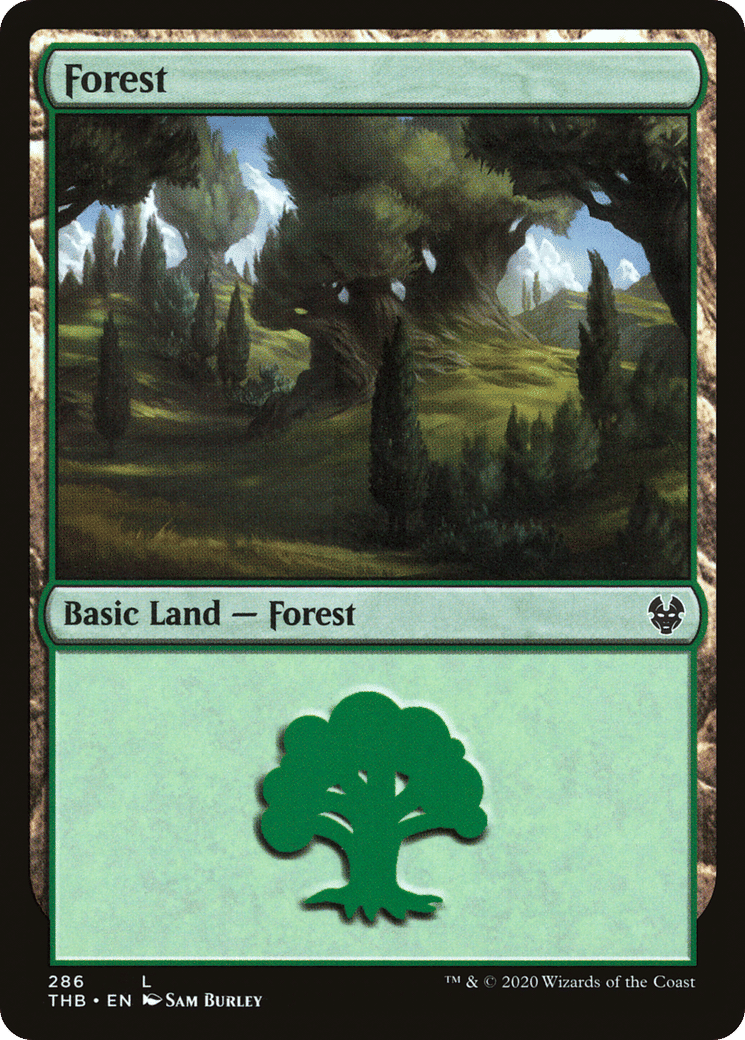 Forest — Theros Beyond Death — Magic: The Gathering