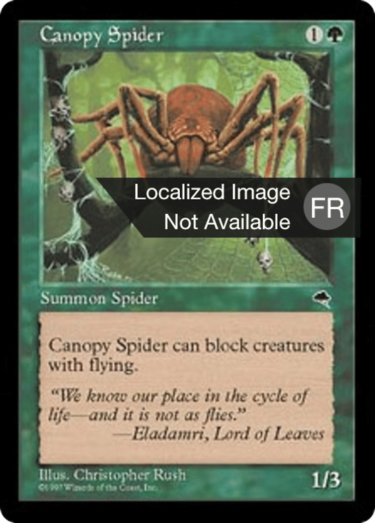 Araignée de la canopée — Tempest — Magic: The Gathering