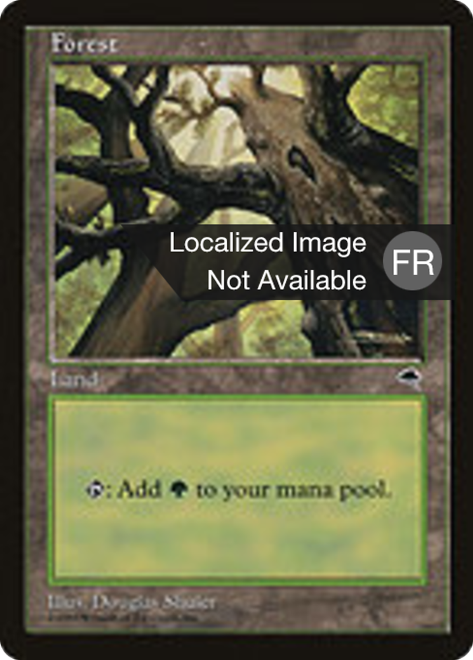 Forêt — Tempest — Magic: The Gathering