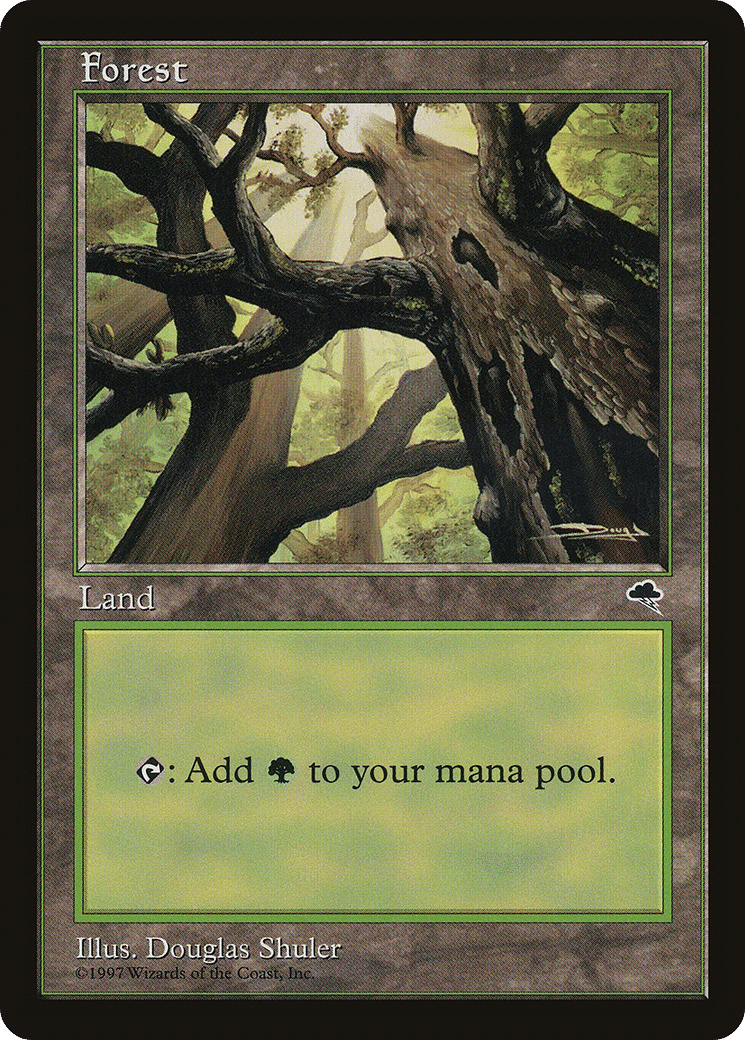 Forest — Tempest — Magic: The Gathering