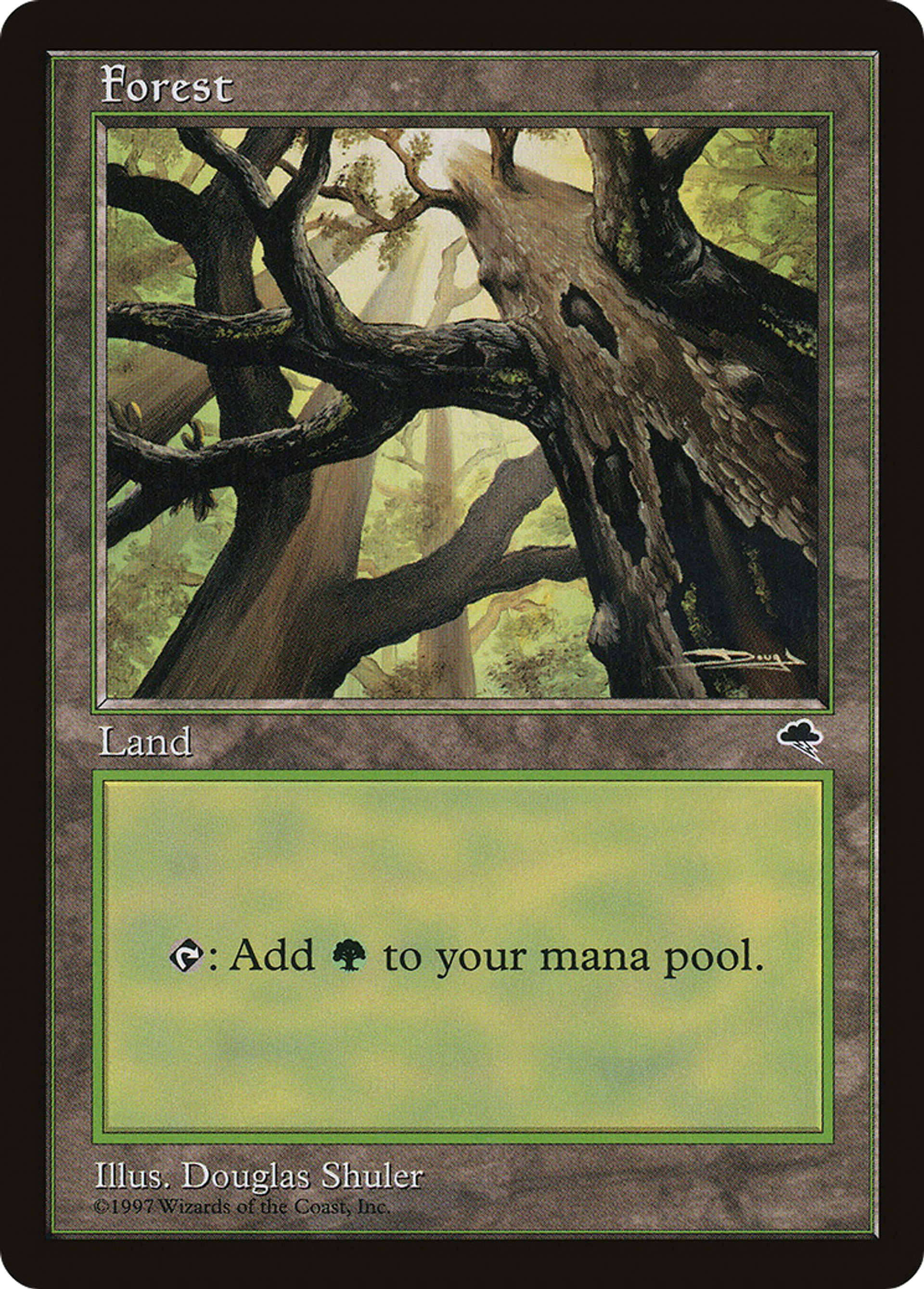 Forest — Tempest — Magic: The Gathering