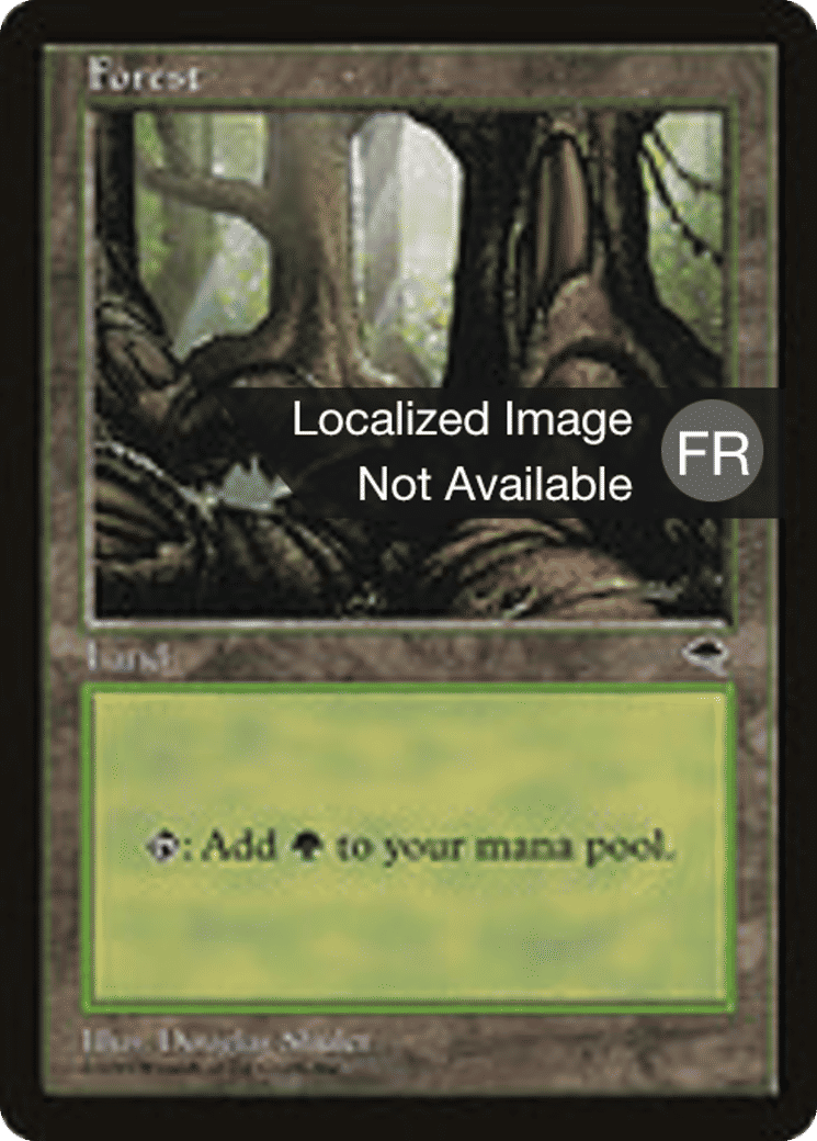 Forêt — Tempest — Magic: The Gathering