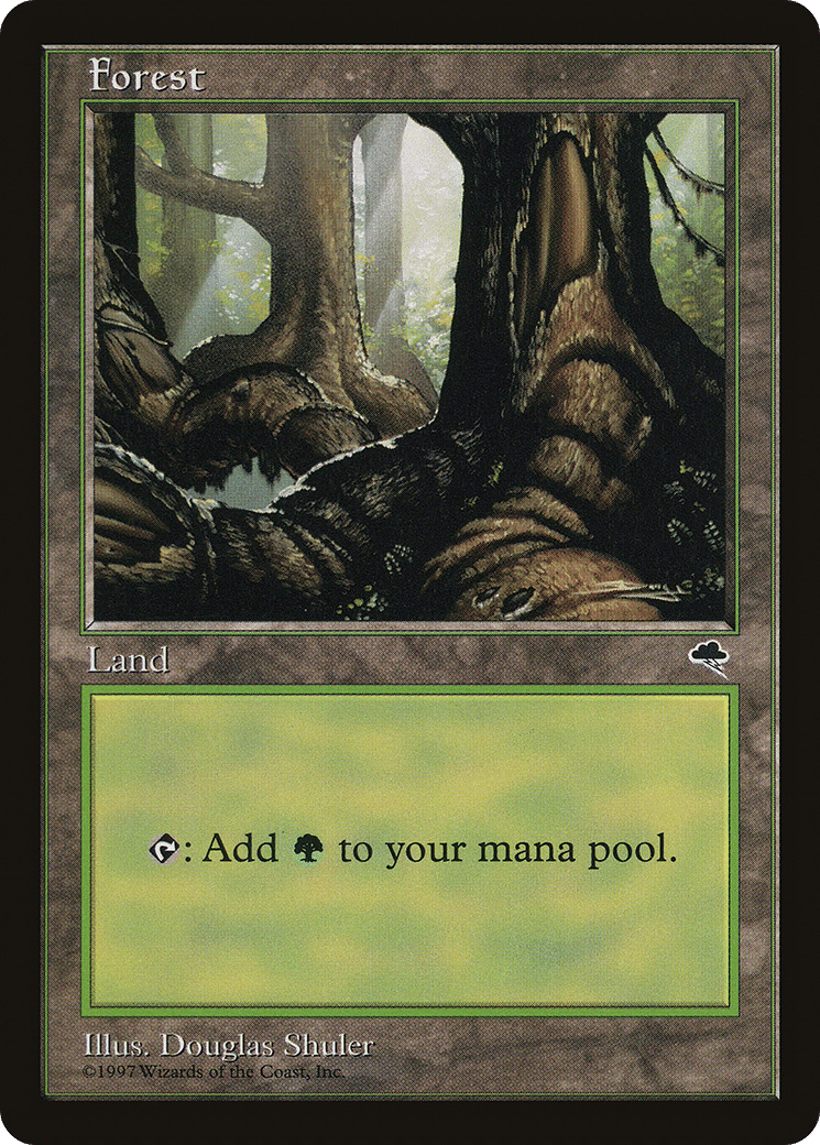 Forest — Tempest — Magic: The Gathering