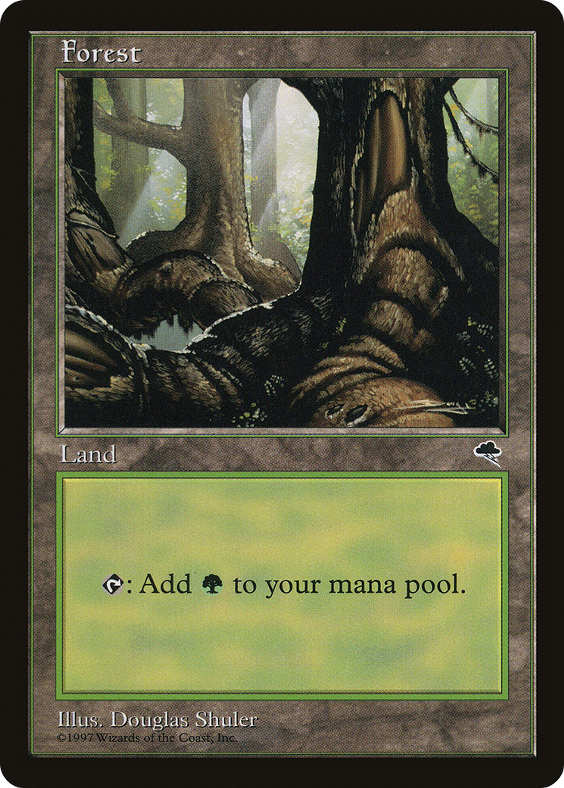 Forest — Tempest — Magic: The Gathering