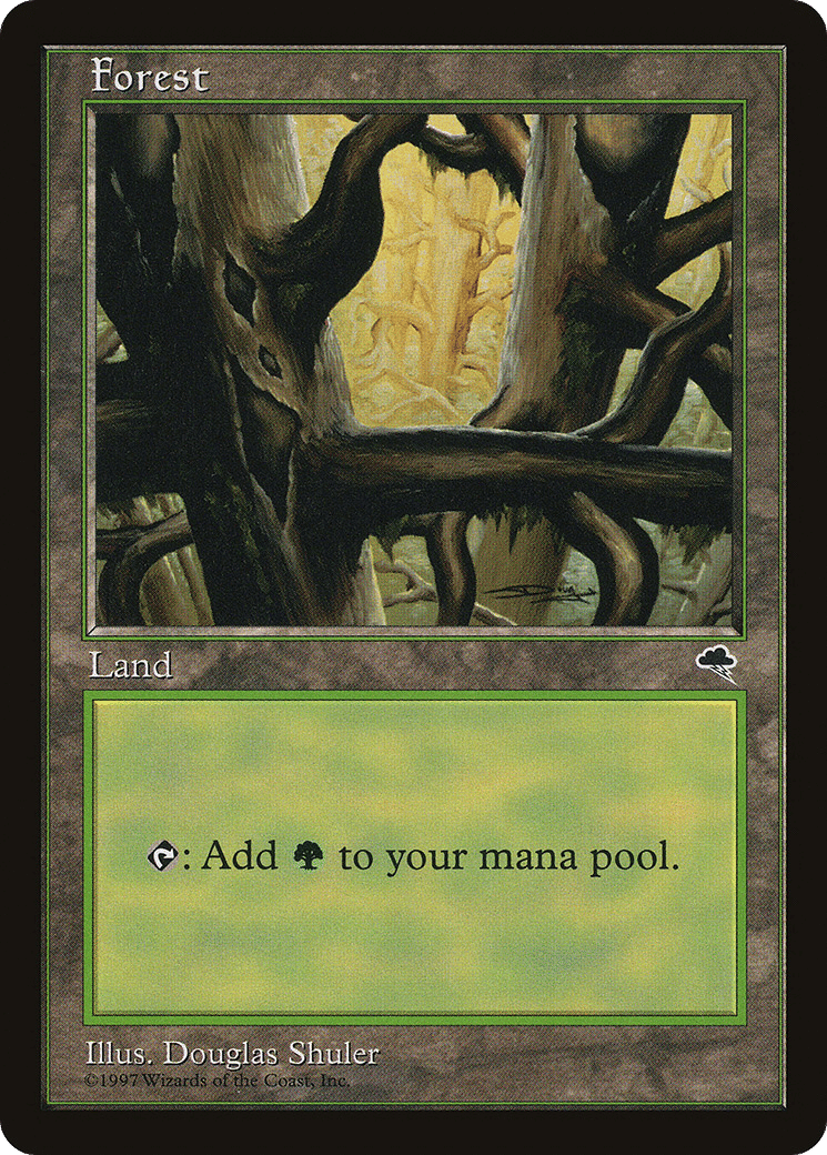 Forest — Tempest — Magic: The Gathering