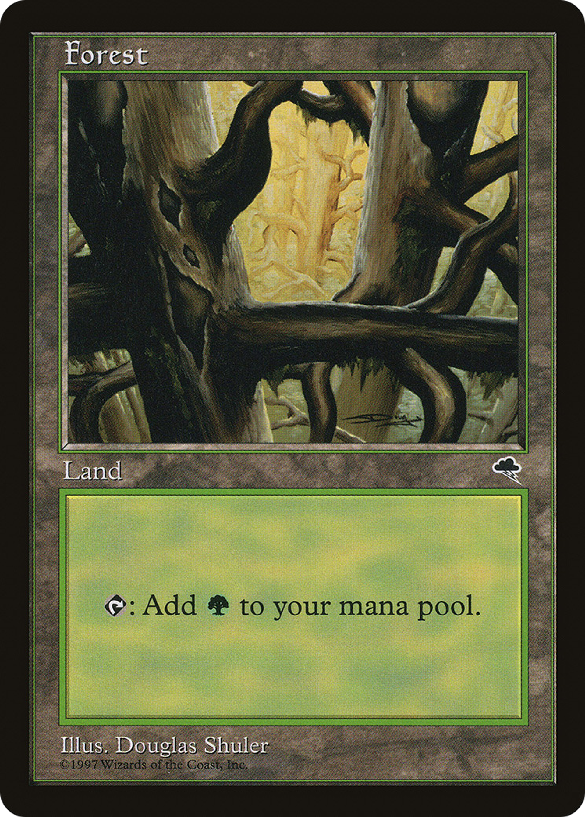 Forest — Tempest — Magic: The Gathering