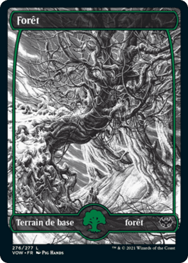 Forêt — Innistrad: Crimson Vow — Magic: The Gathering