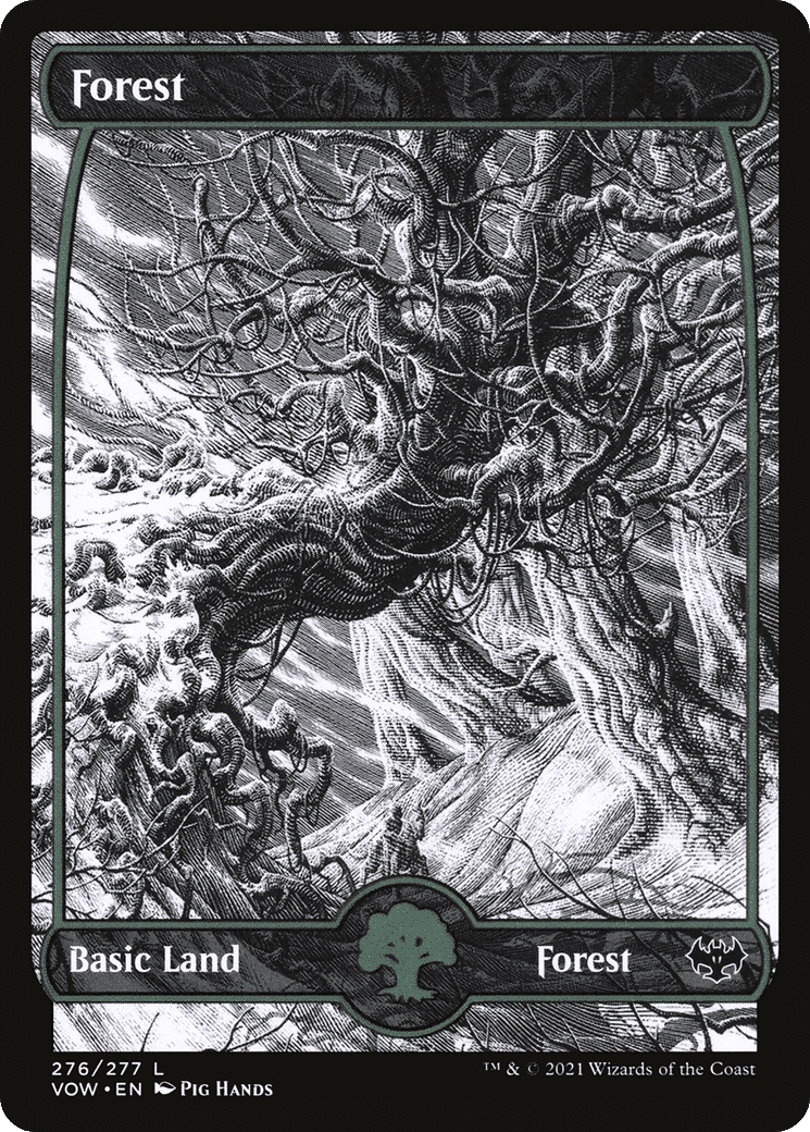 Forest — Innistrad: Crimson Vow — Magic: The Gathering