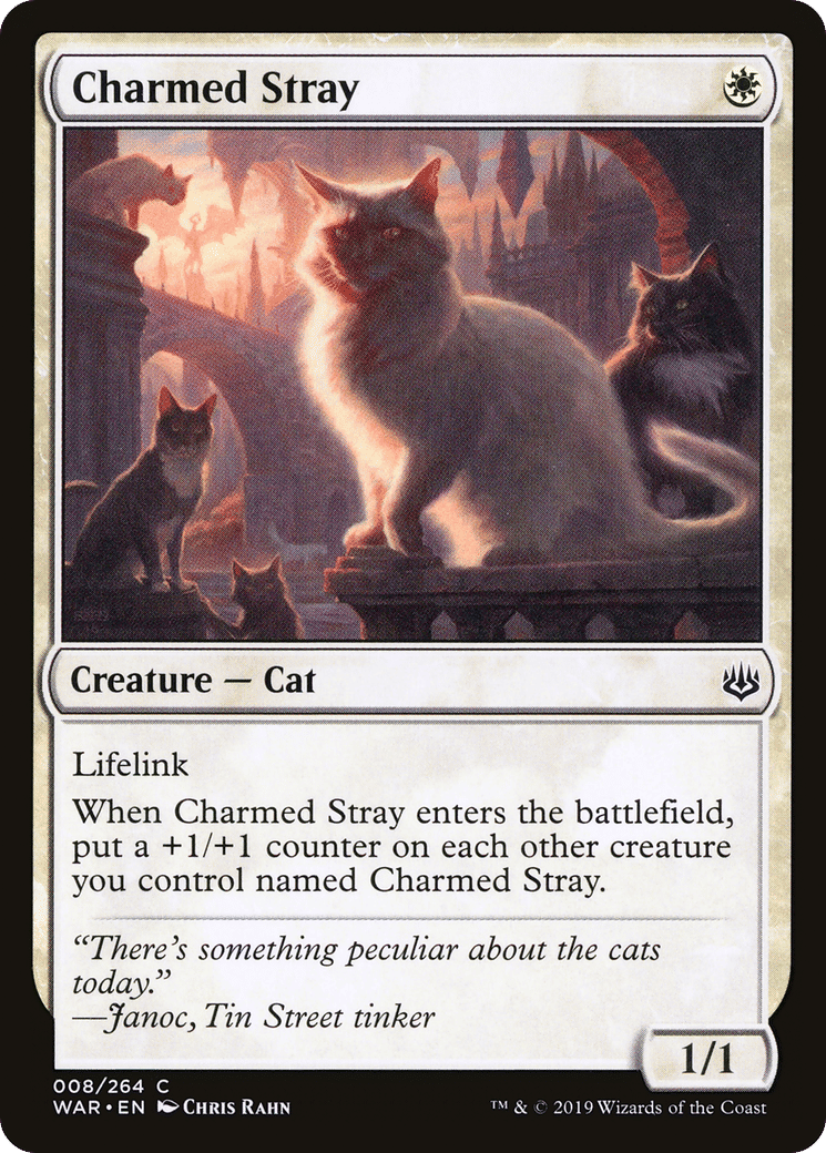 Charmed Stray — War of the Spark — Magic: The Gathering